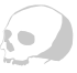 skull icon gray skull icon gray